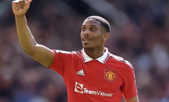 但波动也更 但波动也更